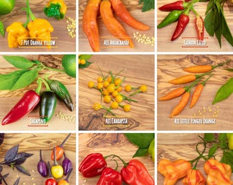Chili Samen Mix Set - über 100 Samen - Starter Kit - 9 Sorten - mild bis extrem scharf - mild bis 1 Mio. Scoville - frische Peperoni Ernte!