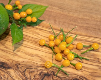 10 Semillas de Chile - Ají Charapita - ¡Descubre la variedad de chile más cara del mundo! Sabor único a fruta tropical, picante intenso.