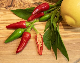 10 semillas de chile - variedad mágica de chile de Italia para el jardín, la terraza y el balcón - frutas coloridas - medio picante - adecuado para principiantes