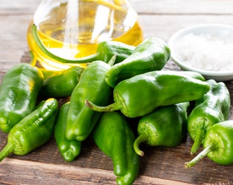 ¡Disfruta del sabor de España! 10 semillas de chile - Pimientos de Padrón - suaves a picantes - pimientos asados para auténticos platos españoles.