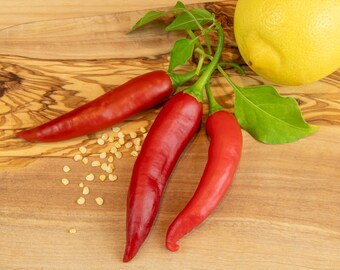 10 semillas de chile - Ají Colorado - cosecha de pepperoni fresco 2023 - variedad robusta - cosecha de pepperoni fresco 2023 - ¡idea de regalo bellamente empaquetada!