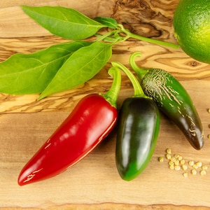 10 chili seeds - Jalapeno - probably the best known and one of the most popular pepperoni in the world - fresh harvest 2023!
