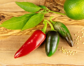 10 semillas de chile - Jalapeño - probablemente el pepperoni más conocido y uno de los más populares del mundo - ¡cosecha fresca 2023!