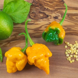 Op de afbeelding: Drie gele en groene habanero pepers op een houten oppervlak met een limoen en pepers zaden.