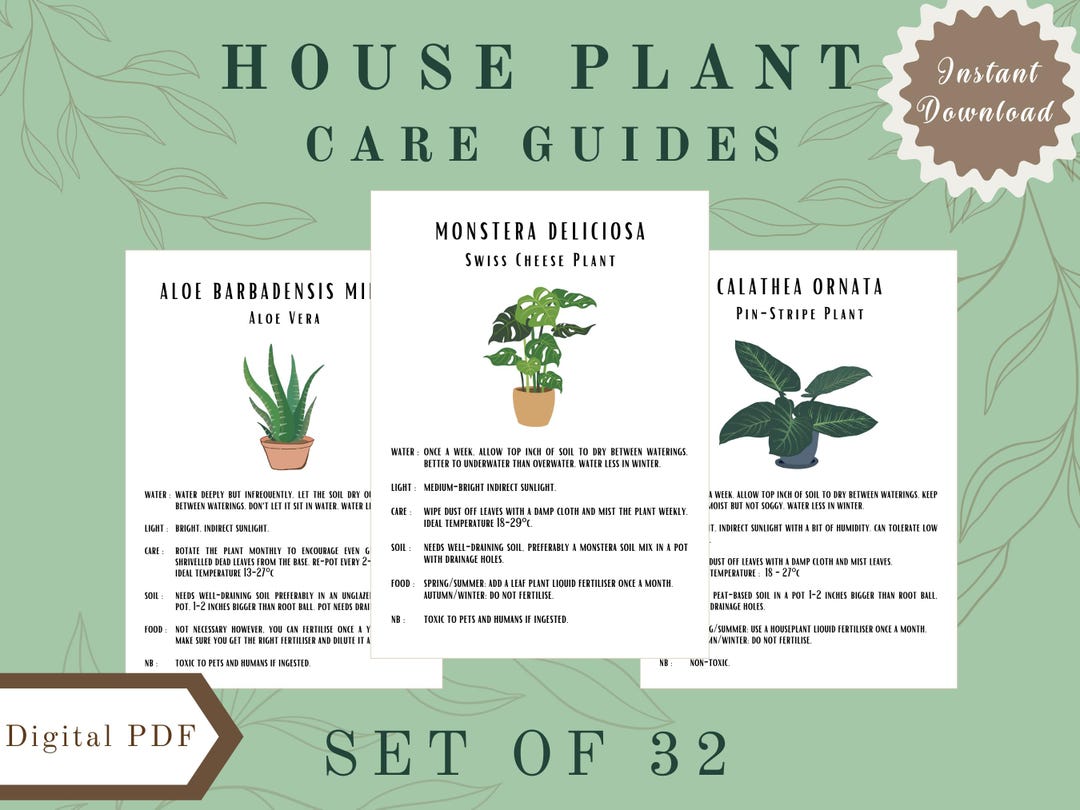 House Plant Care Guide Bundle | 32 Digital Printable Plant Care Cards ...