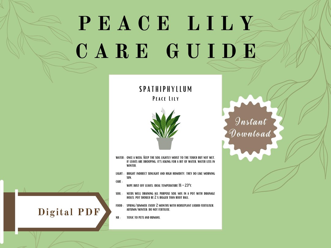 peace-lily-care-guide-digital-download-printable-plant-instructions