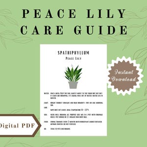Peace Lily Care Guide Digital Download Printable Plant Instructions