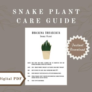 Snake Plant Care Guide | Digital Download | Printable Plant Instructions |  Easy Houseplant Care Tips - Etsy