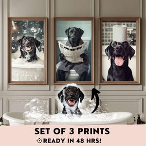 May include: Set of three prints featuring black Labrador Retrievers in various humorous situations. One dog is taking a bath, another is reading a newspaper, and the third is wearing a toilet roll on its head.