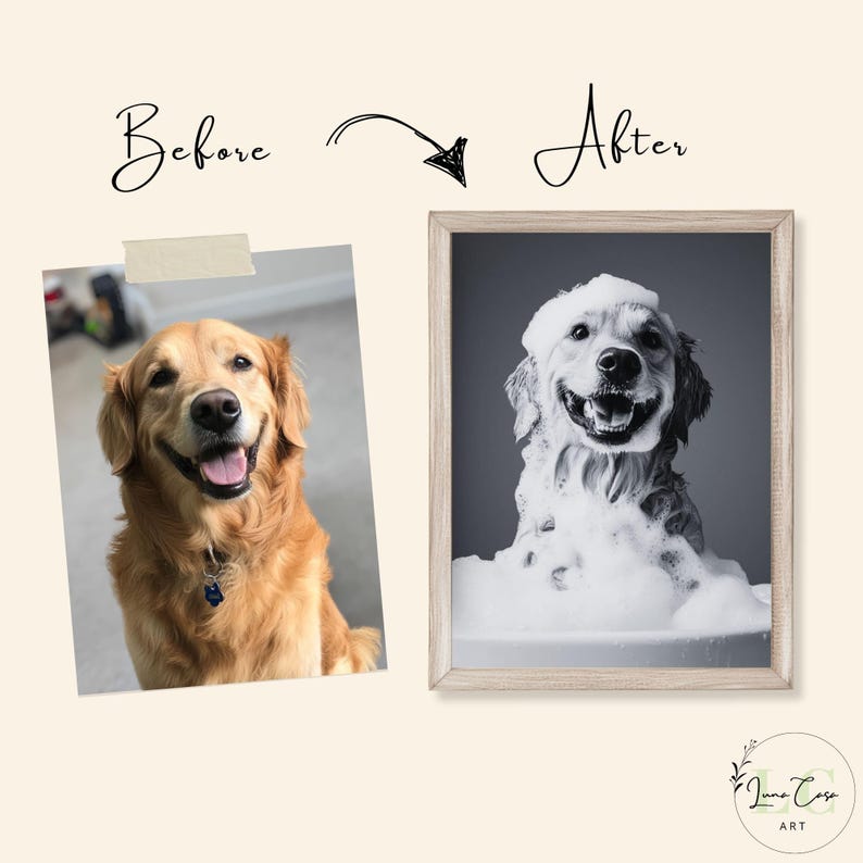 K&ouml;nnte beinhalten: Vorher-Nachher-Foto eines Golden Retriever Hundes. Das Vorher-Foto zeigt den Hund sitzend und in die Kamera blickend. Das Nachher-Foto zeigt den Hund in einer Badewanne mit Seifenblasen bedeckt.