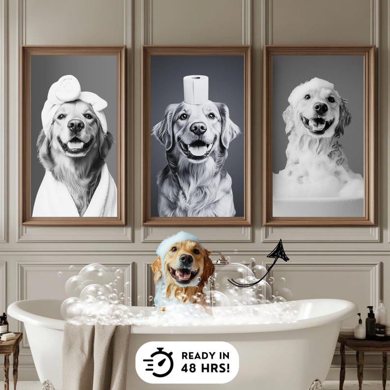 K&ouml;nnte beinhalten: Drei Schwarzwei&szlig;fotos von Golden Retrievern in verschiedenen Phasen des Badens. Das erste Foto zeigt einen Hund, der ein Handtuch auf dem Kopf tr&auml;gt. Das zweite Foto zeigt einen Hund, der eine Toilettenpapierrolle auf dem Kopf tr&auml;gt. Das dritte Foto zeigt einen Hund, der mit Blasen bedeckt ist. Der Text "READY IN 48 HRS!" befindet sich unter den Fotos.