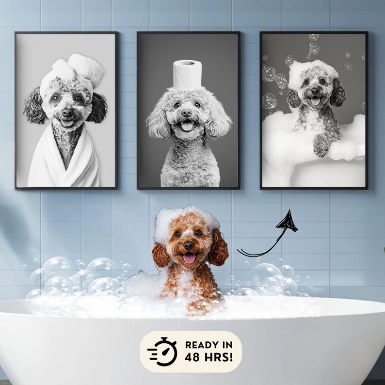 K&ouml;nnte beinhalten: Drei Schwarzwei&szlig;fotos von Hunden mit Toilettenpapier auf dem Kopf. Das erste Foto zeigt einen Hund, der einen Bademantel tr&auml;gt. Das zweite Foto zeigt einen Hund, der l&auml;chelt. Das dritte Foto zeigt einen Hund in einer Badewanne. Ein brauner Hund sitzt in einer wei&szlig;en Badewanne mit Blasen. Der Text "READY IN 48 HRS!" befindet sich auf einem wei&szlig;en Kreis mit einem Uhrsymbol.
