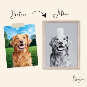 May include: A side-by-side comparison showing a color photograph of a golden retriever on the left and a black and white framed portrait of the same dog with a roll of toilet paper balanced on its head on the right, labeled Before and After.
