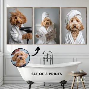 Puede incluir: Un conjunto de tres láminas decorativas con un perro de color marrón dorado y pelo rizado, vestido con un albornoz blanco y una toalla blanca en la cabeza. Una imagen muestra al perro con un secador negro, otra leyendo el periódico Dog Times.