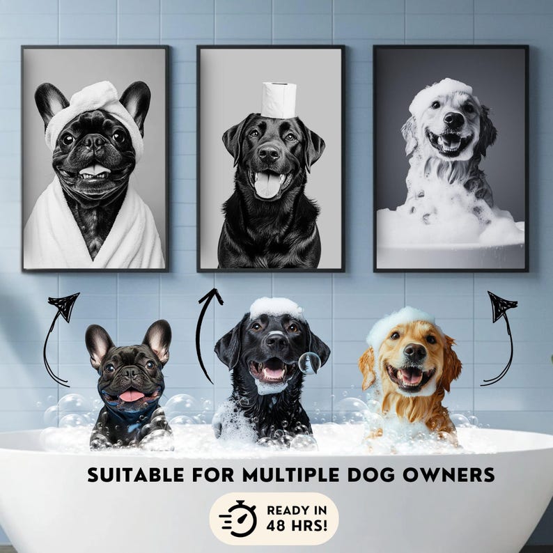 K&ouml;nnte beinhalten: Drei gerahmte Illustrationen von Hunden in verschiedenen Posen. Das erste Bild zeigt eine Franz&ouml;sische Bulldogge, die ein wei&szlig;es Handtuch tr&auml;gt. Das zweite Bild zeigt einen schwarzen Labrador Retriever, der ein wei&szlig;es Handtuch auf dem Kopf tr&auml;gt. Das dritte Bild zeigt einen Golden Retriever in einer Badewanne mit Blasen. Der Text "Suitable for multiple dog owners" befindet sich am unteren Rand des Bildes.