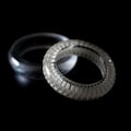 Real Snake Bone Ring in Clear Resin – Gothic Oddities Statement Jewelry product logo