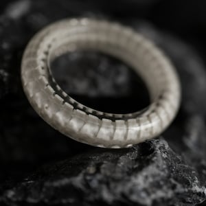 Könnte beinhalten: Nahaufnahme eines einzigartigen Rings mit einem strukturierten, segmentierten Design. Der Ring ist überwiegend cremefarben mit dunkelgrauen Akzenten, die an eine Wirbelsäule oder ein Skelett erinnern. Der Ring ist vor einem dunklen, strukturierten Hintergrund platziert.