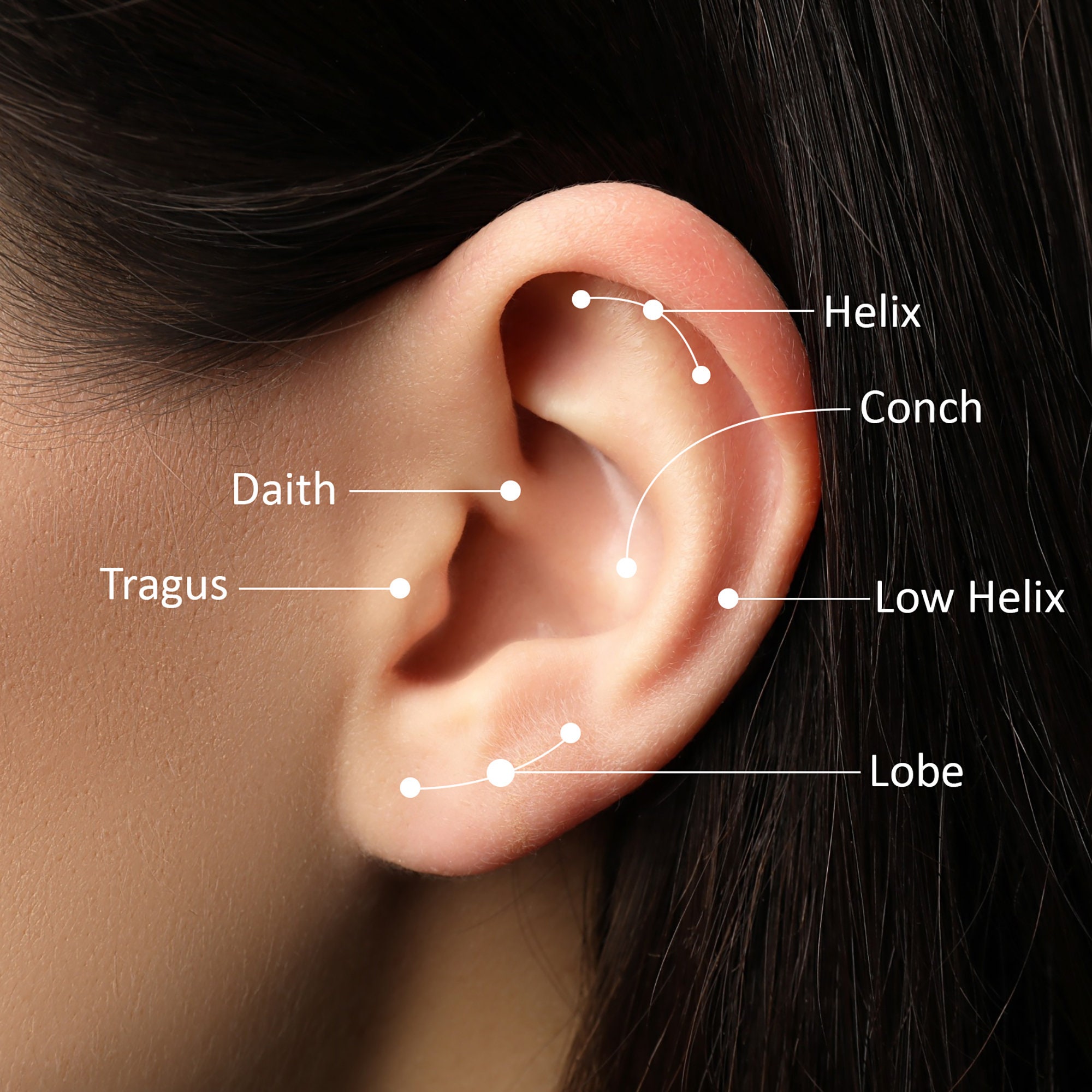 Cluster Helix Piercing 14K Gold Crawler Earrings Gift Ideas Etsy Canada