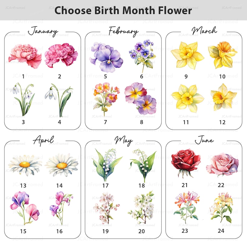 May include: A graphic showing watercolour illustrations of birth month flowers. The image is divided into sections for January to June, each displaying two floral options with corresponding numbers. The text "Choose Birth Month Flower" is at the top.
