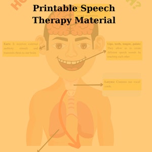 May include: Printable speech therapy material on an A4 size sheet. The image shows a diagram of the human speech mechanism, including the ears, lips, larynx, lungs, and vocal cords. The text reads "How Can We Speech?" and "prepared by MSc SLP Huseyin CETİN."