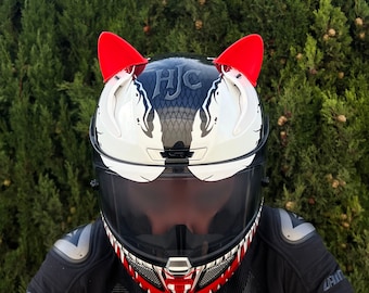 Amazon.com: Full Face Motorcycle Street Helmet Cat Helmet