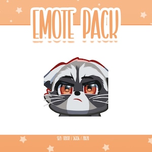 Animated Raccoon Emote 7, Animated Raccoon Twitch Emotes, Cute and Kawaii Emotes, Ready To Use for Twitch / Discord