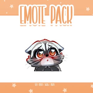 Emote animata "Procione timido" 1, Emote animate "Procione" per Twitch, Emote carine e kawaii, pronte all'uso per Twitch/Discord