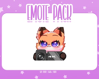 Animated Fox Emote 12, Animated Fox Twitch Emotes, Cute and Kawaii Emotes, Ready To Use for Twitch / Discord