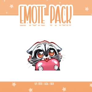 Animated Raccoon Emote 3, Animated Raccoon Twitch Emotes, Cute and Kawaii Emotes, Ready To Use for Twitch / Discord