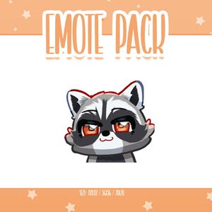 Animated Raccoon Emote 6, Animated Raccoon Twitch Emotes, Cute and Kawaii Emotes, Ready To Use for Twitch / Discord