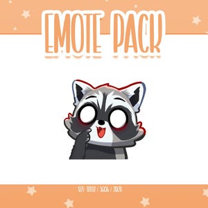 Animated Raccoon Emote 4, Animated Raccoon Twitch Emotes, Cute and Kawaii Emotes, Ready To Use for Twitch / Discord