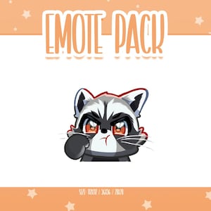 Animated Raccoon Emote 2, Animated Raccoon Twitch Emotes, Cute and Kawaii Emotes, Ready To Use for Twitch / Discord