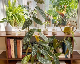 monsters inc boo and mike Monsters Inc SVG Bundle Boo, Sully, Mike – DreamSVG Store main image 0