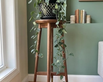 Silver Satin Pothos, Scindapsus Pictus Argyraeus, 4" Houseplant