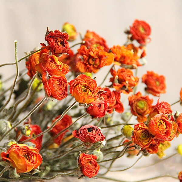 Dried Flower Arrangement Etsy