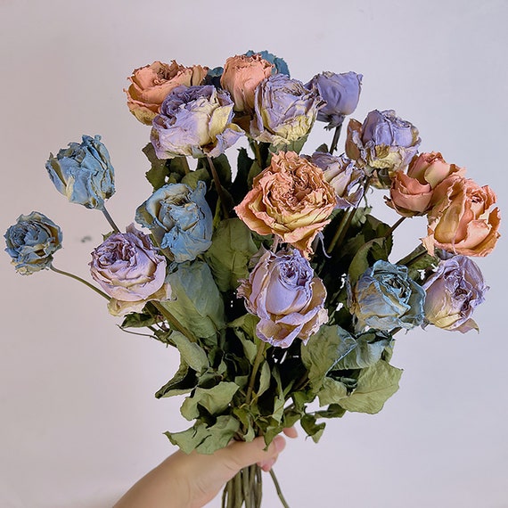 Natural Purple Rose