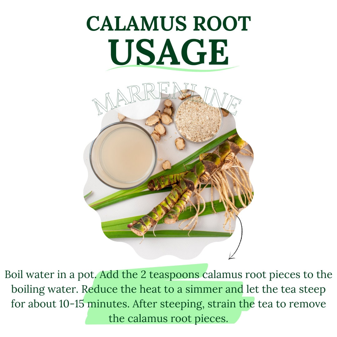 Calamus Root / Acorus Calamus / Sweet Flag Root / Organic Dried Bulk ...