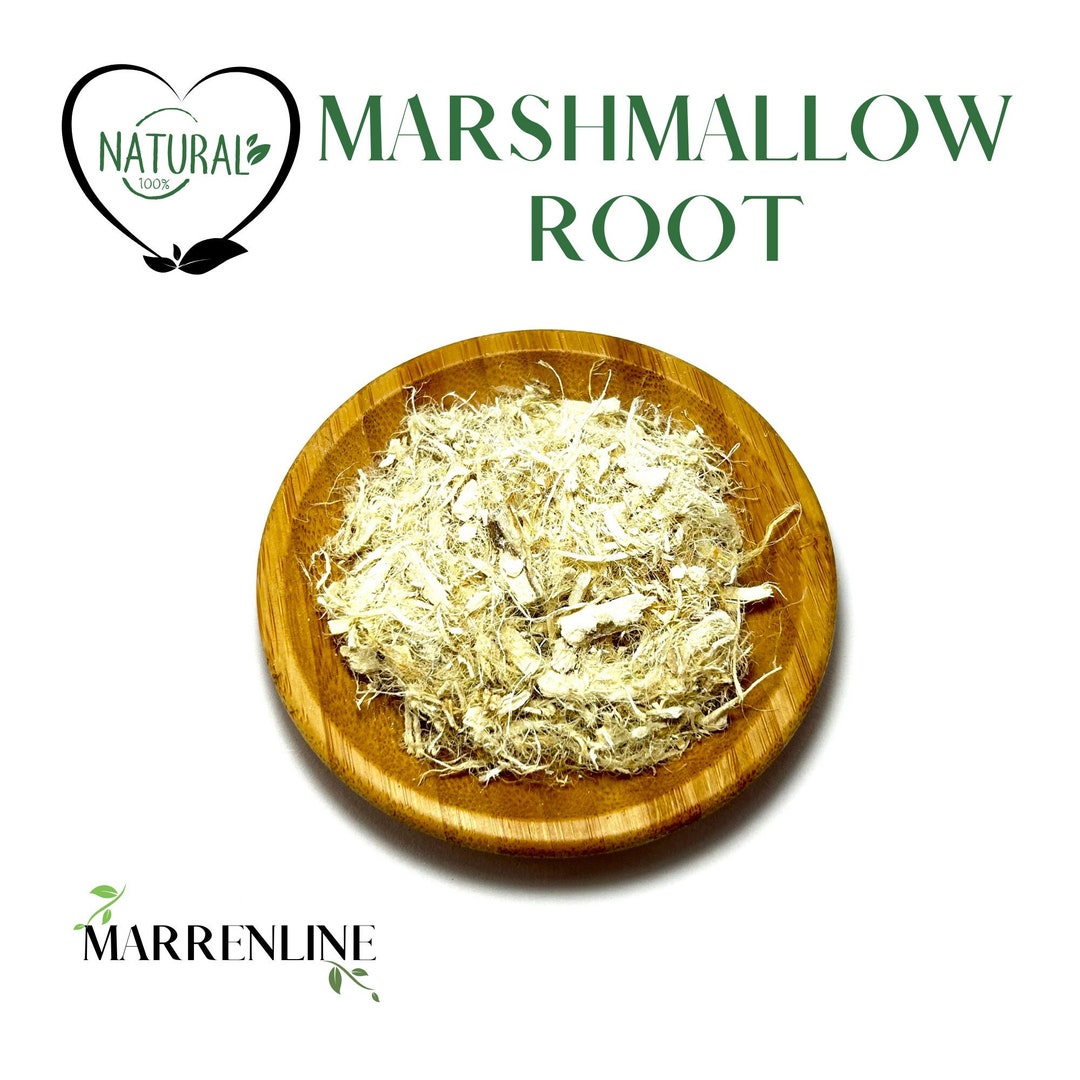 Marshmallow Root / Althaea Officinalis / Organic Marshmallow Root / Althaea Root Etsy