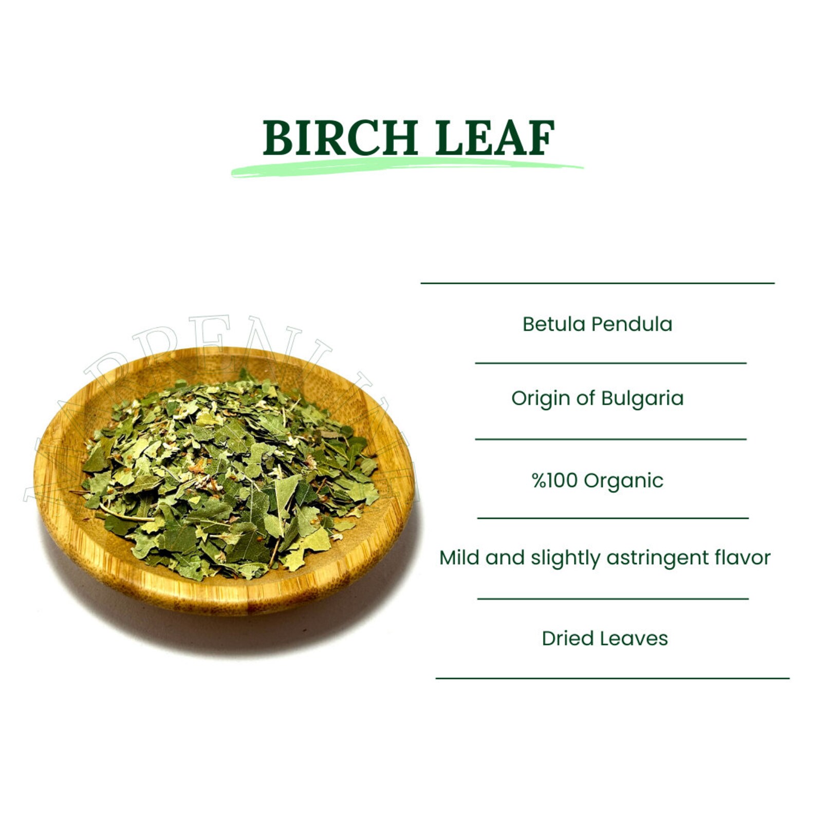 Birch Leaf / Betula Pendula / Common Birch Leaf / Dried Birch Leaves ...