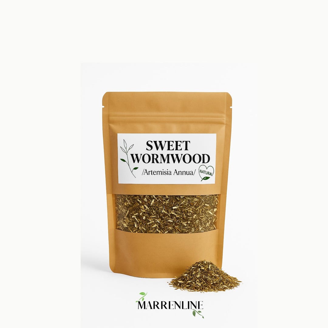 Sweet Wormwood / Artemisia Annua / Sweet Annie Tea / Organic Dried Herb ...