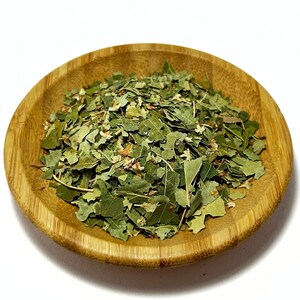 Birch Leaf / Betula Pendula / Common Birch Leaf / Dried Birch Leaves ...