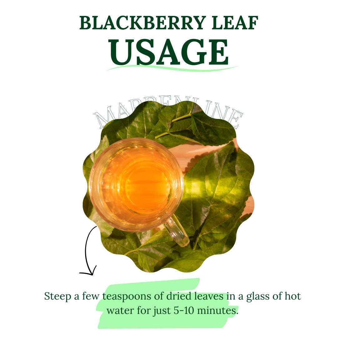 Rubus Tea Blackberry Leaf / Rubus Fruticosus / Rubus L. / Organic Dried ...