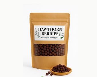 Weißdornbeeren / Crataegus Monogyna / Weißdornbeeren / Wildblumen / Bio-Kraut
