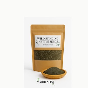 Wilde Brennessel Samen / Urtica Dioica / Wildcrafted / Brennessel Samen / Brennessel Tee