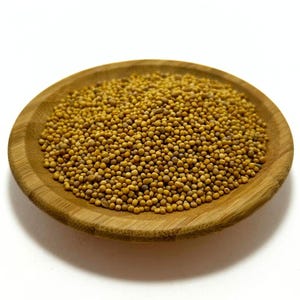 White Mustard Seeds / Sinapis Alba / Mustard Seeds / Organic Dried Herbs / Herbal Tea / Natural / Dried Seeds