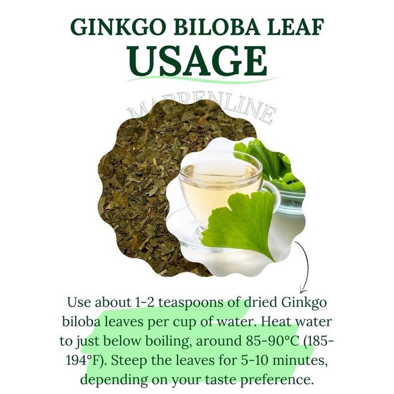 Ginkgo Biloba Leaf / Herbal Ginkgo Tea / Organic Dried Herb - Etsy