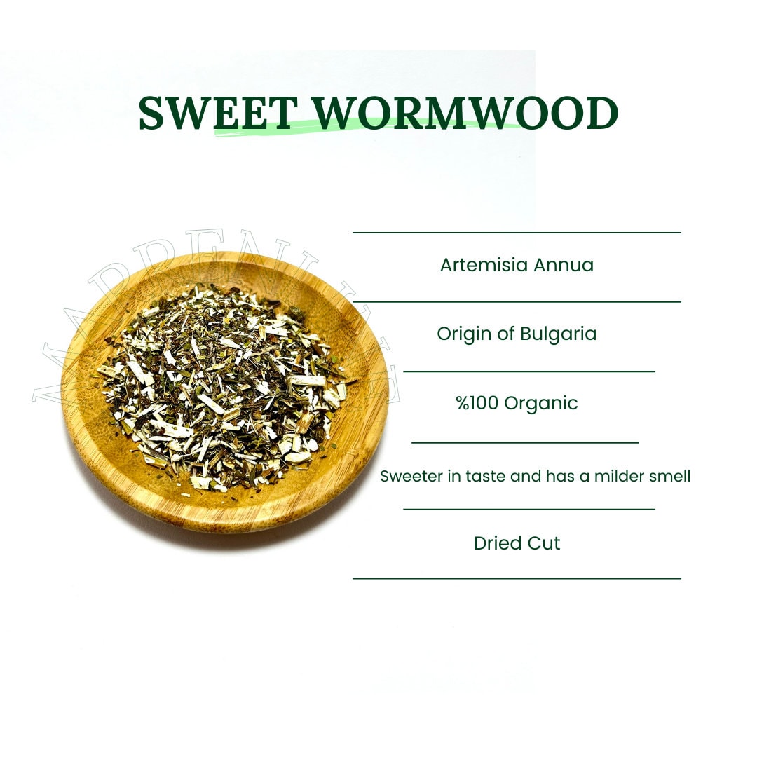 Sweet Wormwood BULK / Dried Artemisia Annua / Sweet Annie Tea / Herbal ...