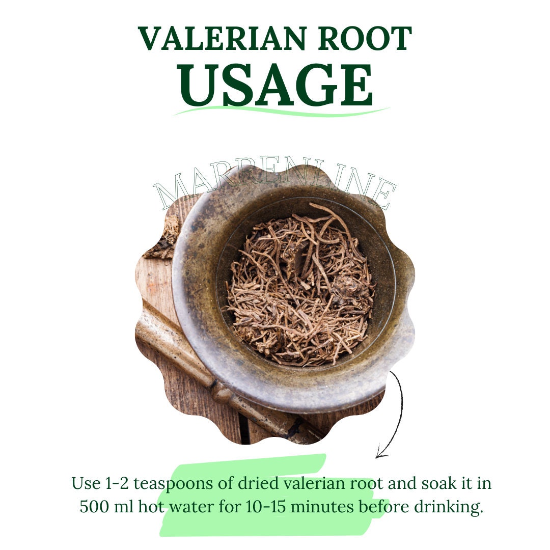 Valerian Root / Valeriana Officinalis / Valerian Herbal Tea / Organic ...