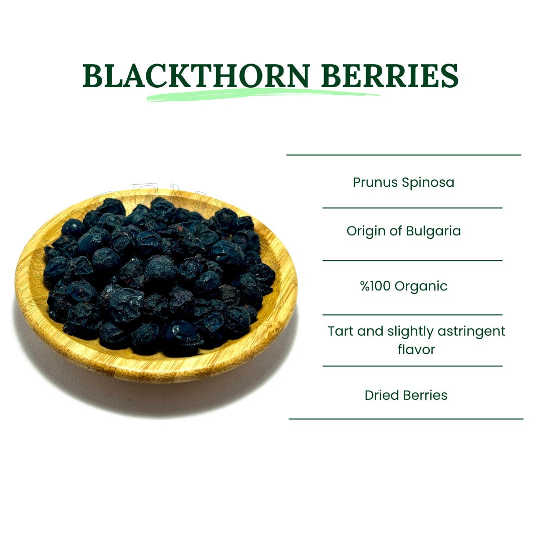 Blackthorn Berries BULK 1 Lb 2 Lb / Prunus Spinosa / Blackthorn Sloe