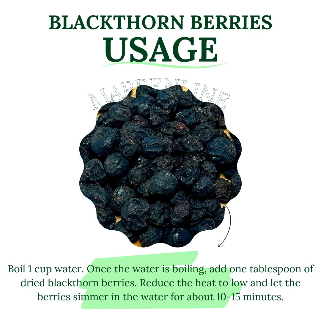 Blackthorn Berries BULK 1 Lb 2 Lb / Prunus Spinosa / Blackthorn Sloe